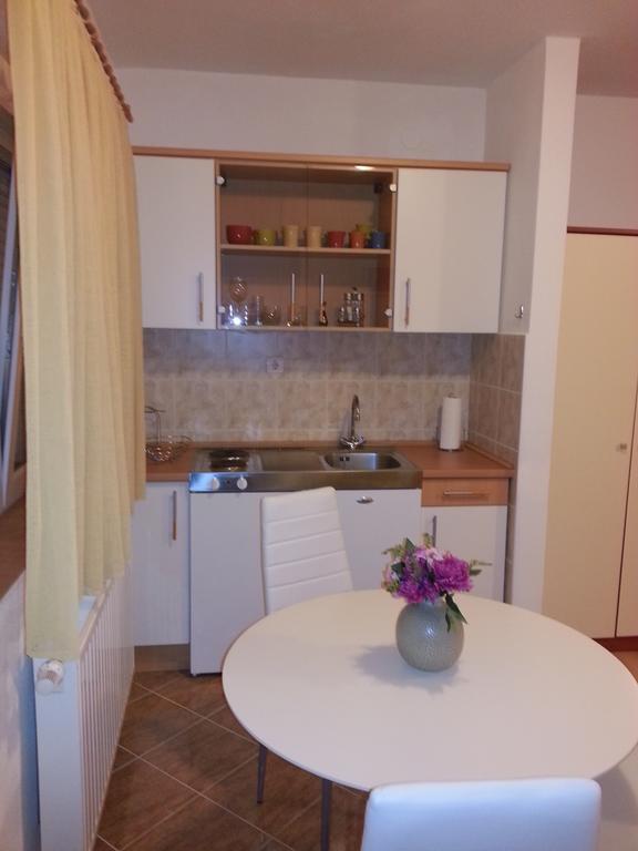 Apartment New Trlaja